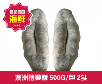 【直发回国】澳洲猪婆参 500G/包 2头 【直发回国】澳洲猪婆参 500G/包 2头